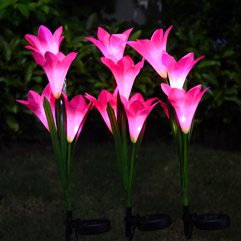 lily flower light