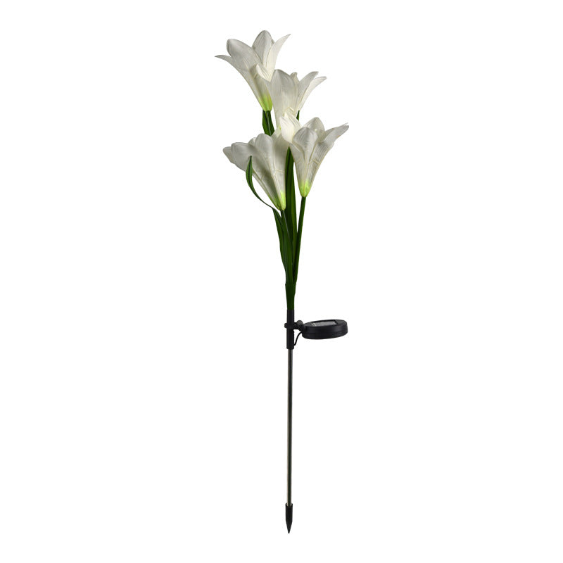 lily flower light