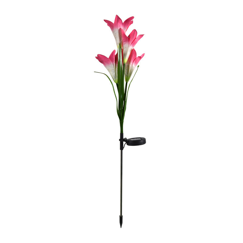 lily flower light
