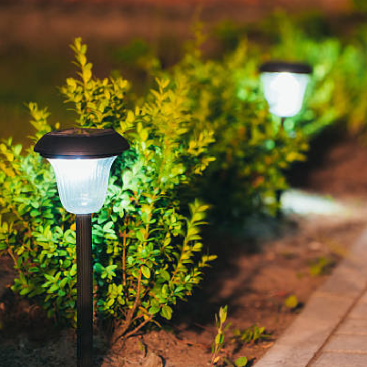Make Your Garden Camera-Ready After Sunset – Here’s How