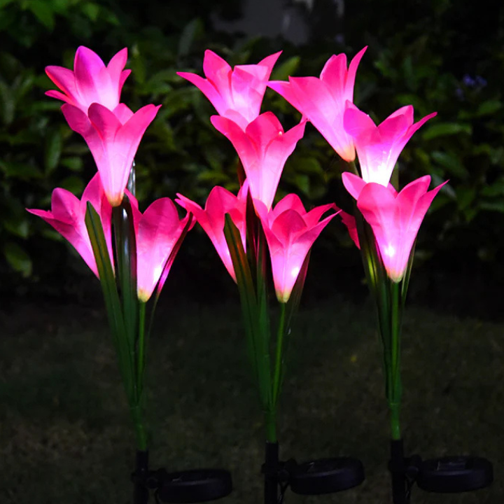 Why Eco-Conscious Homeowners Prefer Solar Lights
